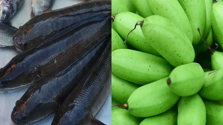 1Nguyên liệu làm món cá quả kho chuối xanh