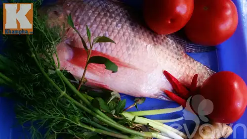 Cá Rô Phi Thơm Ngon, Chắc Thịt Lại Đậm Đà Quyện Lẫn Vị Sốt Cà Chua Vô Cùng Hấp Dẫn, Trôi Cơm Vô Cùng. Cá Rô Phi Thơm Ngon, Chắc Thịt Lại Đậm Đà Quyện Lẫn Vị Sốt Cà Chua Vô Cùng Hấp Dẫn, Trôi Cơm Vô Cùng.