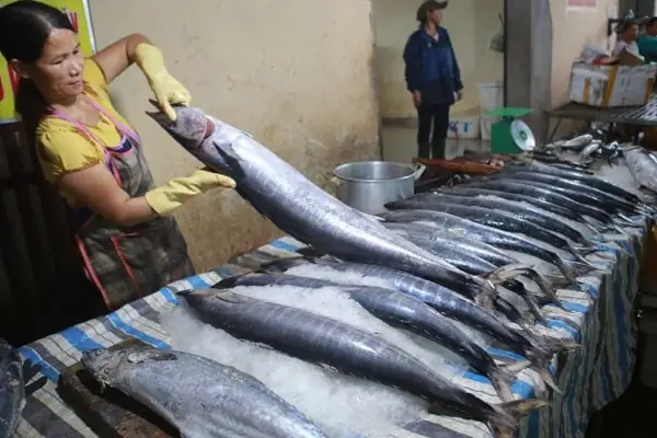 Cách Sơ Chế Cá Thu Tươi Để Không Bị Tanh