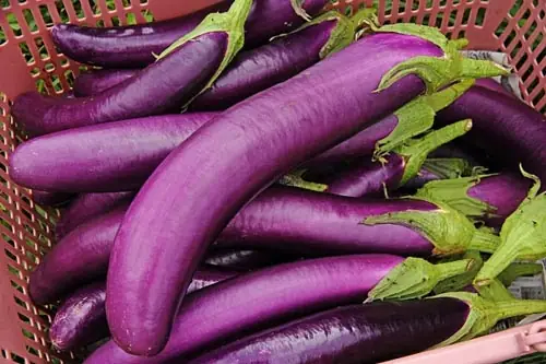 Cà tím mềm, ngọt rất thích hợp cho trẻ ăn dặm bổ sung chất xơ vào bát cháo thơm ngon hàng ngày.