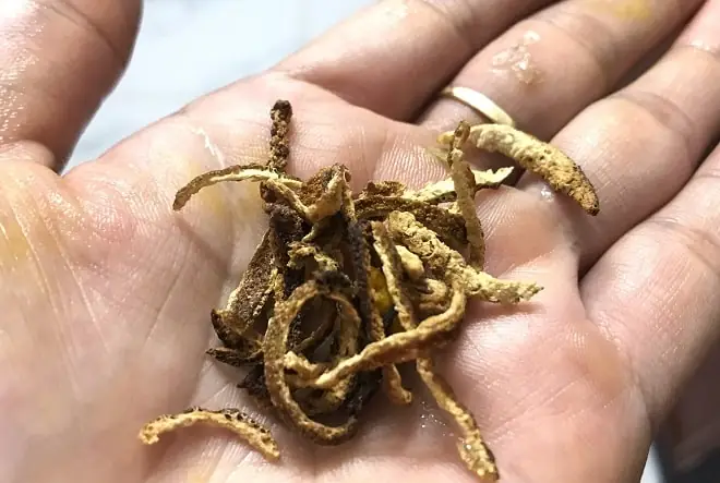 Cá Tràu Kho Nghệ Cần Nguyên Liệu Nào?