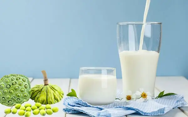 Công thức nấu sữa hạt sen Công thức nấu sữa hạt sen