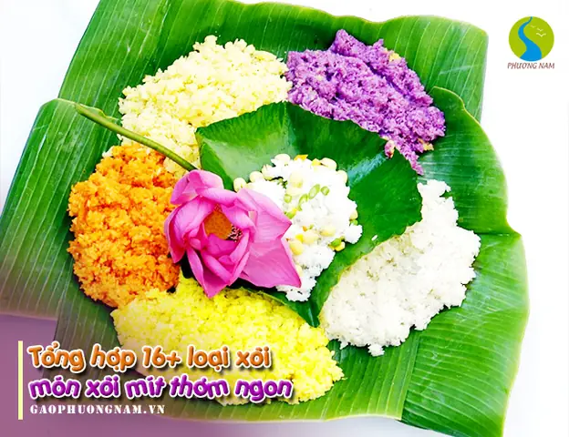 Tổng Hợp 16+ Loại Xôi Ngon, Đặc Biệt Mềm Dẻo, Thơm Ngon