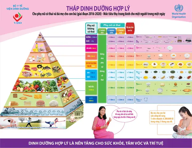 1chế Độ Dinh Dưỡng Cho Bà Bầu