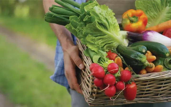 Rau Củ Tươi Nguyên Liệu Chính