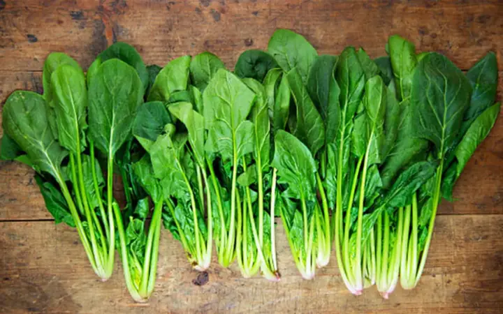 Cải bó xôi bà bầu ăn được không?