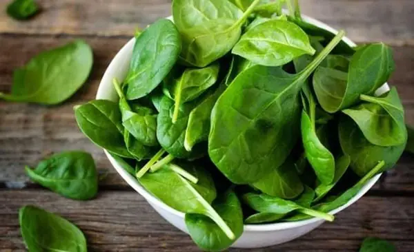 Nguyên Liệu Nguyên Liệu