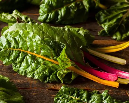 Cách Chọn Mua Rau Cải Cầu Vồng Tươi Ngon