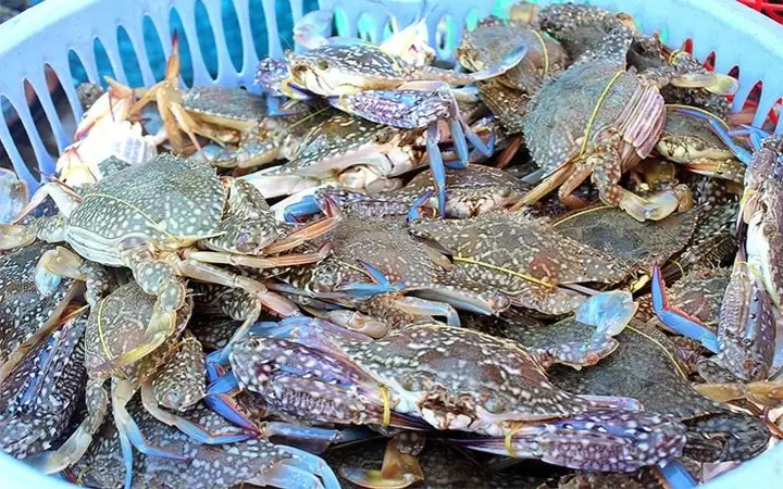 Nguyên Liệu Cần Chuẩn Bị