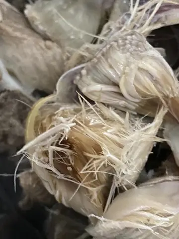 cách nấu canh atiso sườn