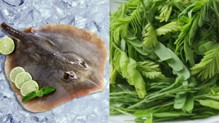 Cách chọn mua lá me non ngon Cách chọn mua lá me non ngon