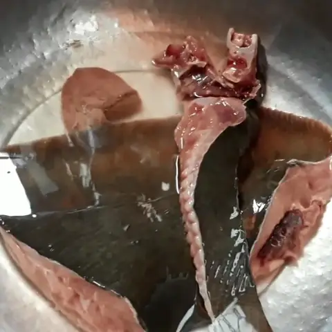 Sơ chế cá đuối Sơ chế cá đuối