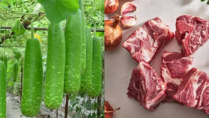 Cách Nấu Canh Bầu Hầm Xương Thơm Ngon Thanh Mát Cho Gia Đình