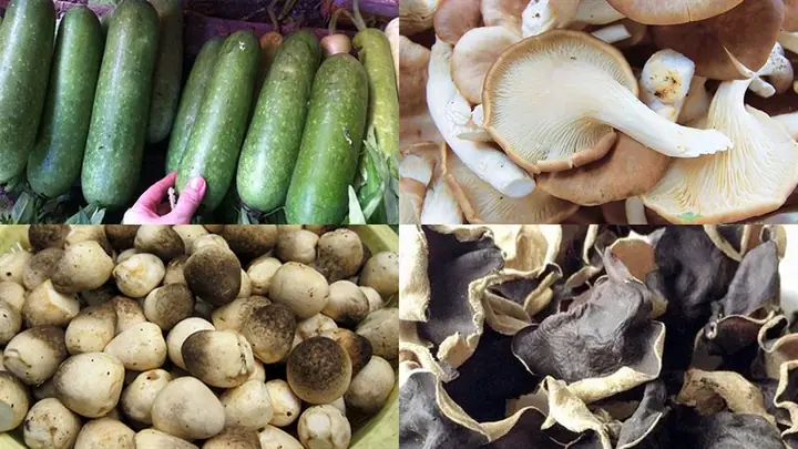 Cách chọn mua nguyên liệu tươi ngon