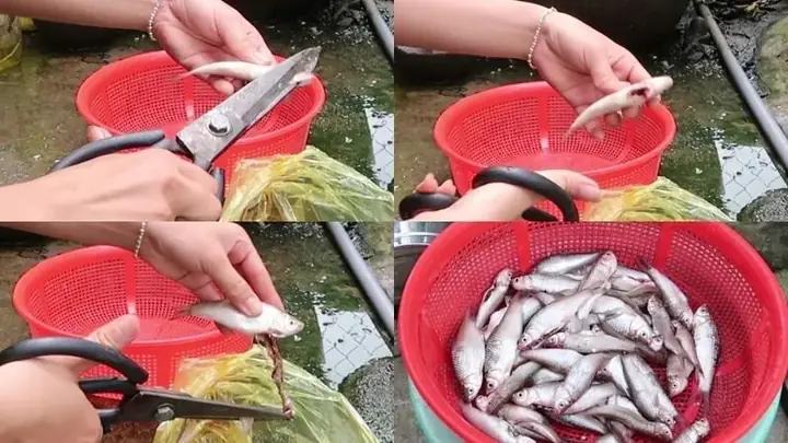 Loại Bỏ Ruột Cá Linh