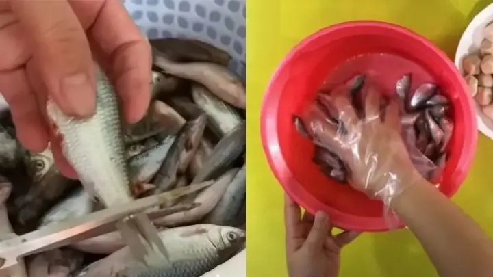 Sơ Chế Cá Linh Sạch Sẽ