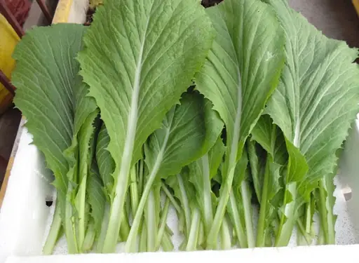 Mách bạn cách nấu canh cải cá bống ngon đúng chuẩn