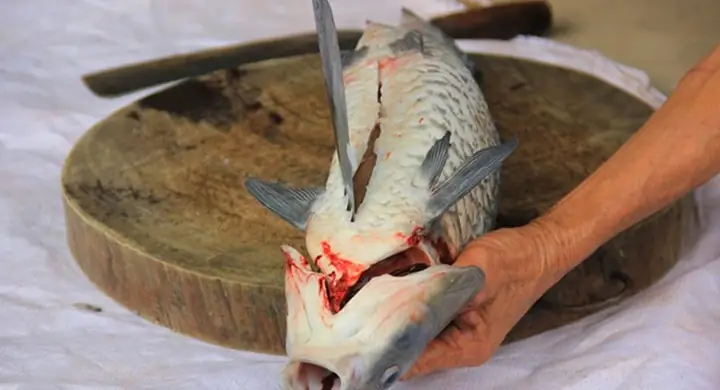 Loại Bỏ Các Bộ Phận Tanh Trong Cá Trước Khi Nấu