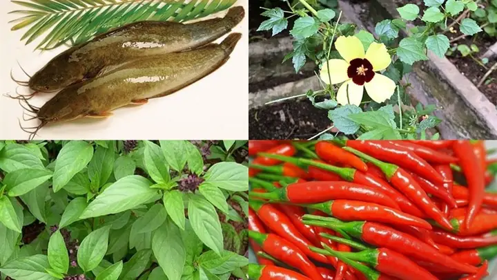 Cách Chọn Mua Nguyên Liệu Tươi Ngon