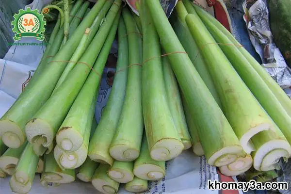 Cách Làm Canh Chua Cá Lóc