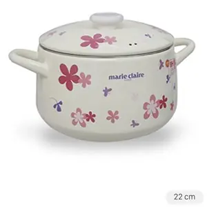 Nồi thép Nippon tráng men Fujihoro MCPV-22DW