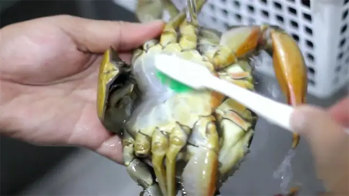 Sơ Chế Nguyên Liệu Sơ Chế Nguyên Liệu