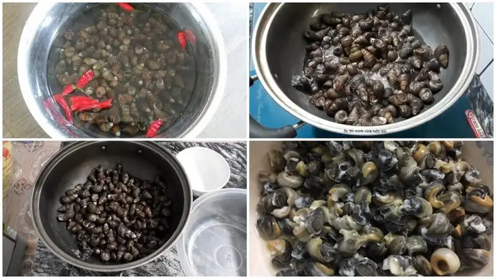 2.2. Các Bước Chế Biến Món Canh Cà Tím Nấu Ốc Đậu