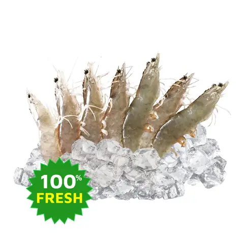 Tôm Thẻ Tươi (ướp Đá) Size 36 - 40 1kg