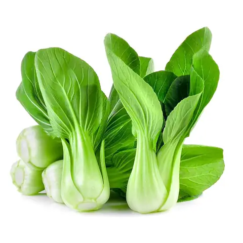 Cải Thìa Đà Lạt