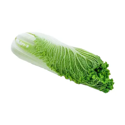 Cải Thảo Hỏa Tiễn Đà Lạt