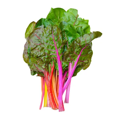 Cải Cầu Vồng Đà Lạt