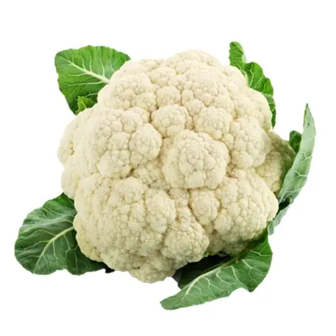 Bông Cải Trắng Đà Lạt