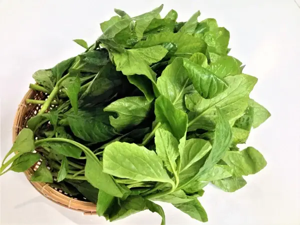 RAU CẢI TRỜI ĂN CÓ TỐT KHÔNG?