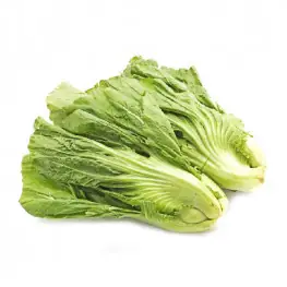 Cải Sậy (dùng Để Muối Dưa Cải Chua)