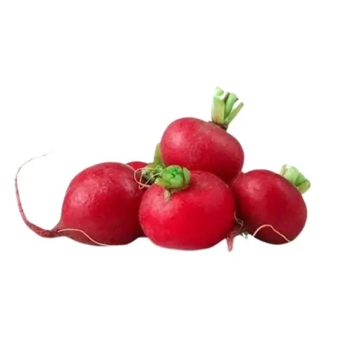 Củ Cải Đỏ Đà Lạt