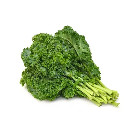 Cải Xoăn Kale Đà Lạt