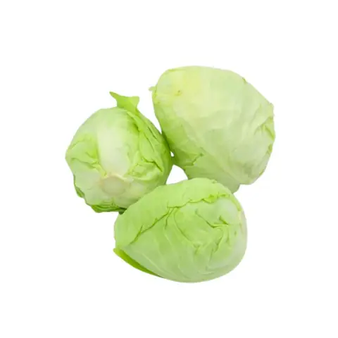 Bắp Cải Trái Tim Đà Lạt