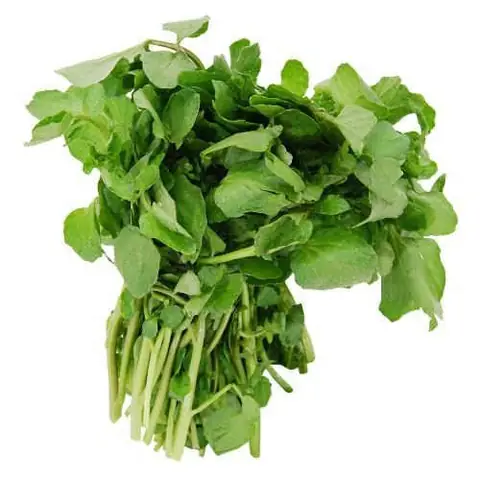 Xà Lách Xoong Đà Lạt