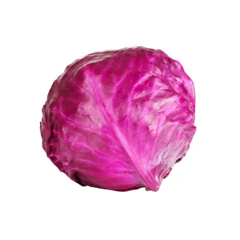 Bắp Cải Tím Đà Lạt