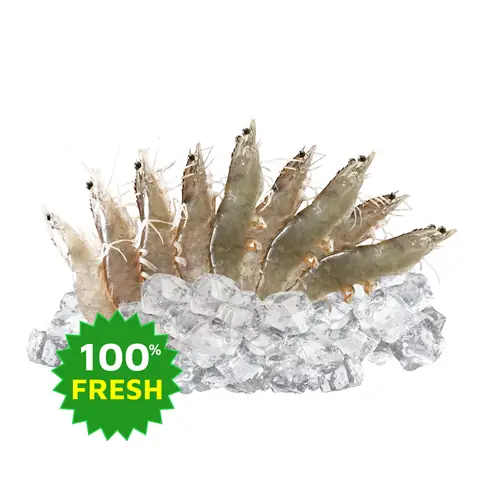 Tôm Thẻ Tươi (ướp Đá) Size 31 - 35 1kg