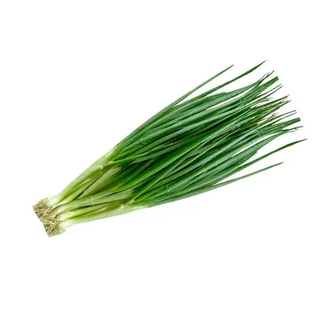 Hành Lá Miền Tây