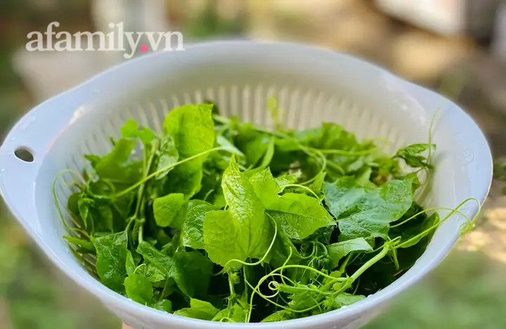 Rau Lạc Tiên Rất Dễ Trồng Dễ Mọc, Không Phải Chăm Sóc Gì Mà Nấu Canh Ăn Thì Vô Cùng Mát Bổ.