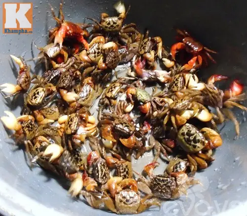 Canh Cáy Nấu Rau Đay Mướp Hương Ăn Kèm Với Cà Muối Giòn Thì Ngon Không Gì Bằng Trong Mùa Hè Này. Canh Cáy Nấu Rau Đay Mướp Hương Ăn Kèm Với Cà Muối Giòn Thì Ngon Không Gì Bằng Trong Mùa Hè Này.