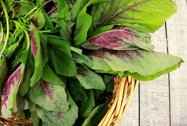 2.1. Canh rau dền nấu tôm