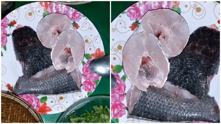 Bước 1Sơ chế cá lóc Bước 1Sơ chế cá lóc