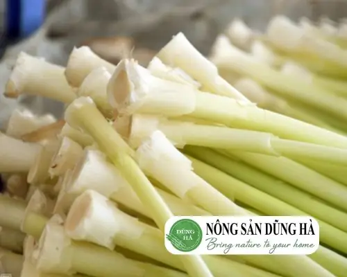 Mẹo Chọn Mua Bồn Bồn Tươi Ngon