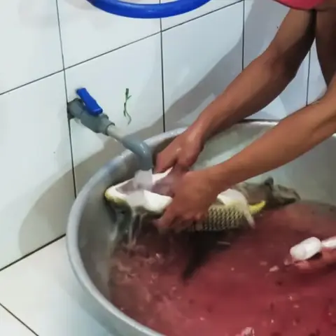 2 cách nấu canh chua cá chép nấu dọc mùng và nấu khế thơm ngon thanh mát