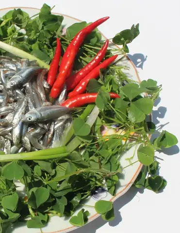 Cách Nấu Canh Chua Cá Cơm Ngon Chuẩn Vị Không Tanh