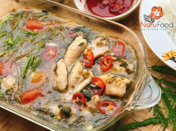 Giá trị dinh dưỡng tuyệt vời từ Cá Lạc mà biển cả mang lại