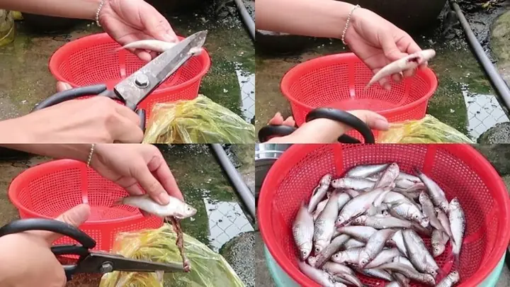 Bước 1sơ Chế Cá Linh Bước 1sơ Chế Cá Linh